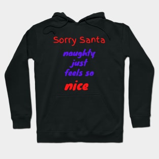 Sorry Santa naughty just feels so nice Hoodie